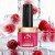 PN LongWear 410 Berry Bisou 10 ml